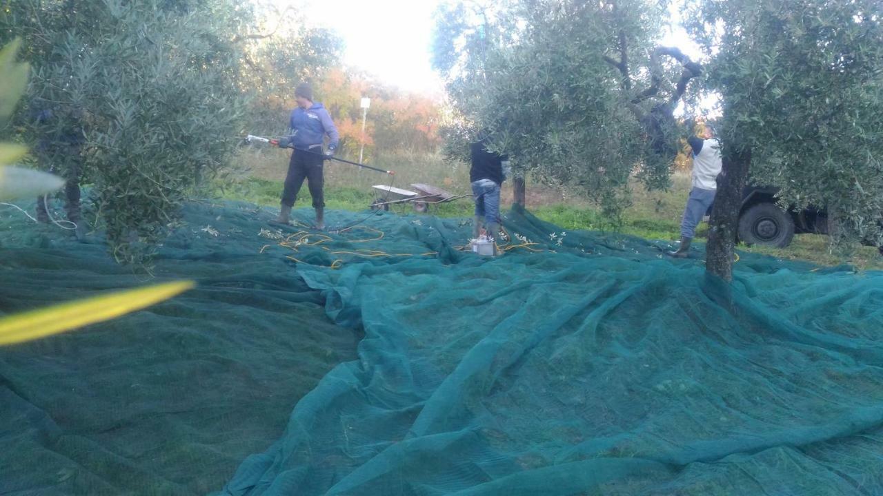 Baduerughe - Valledellago Poggio Mirteto Zewnętrze zdjęcie